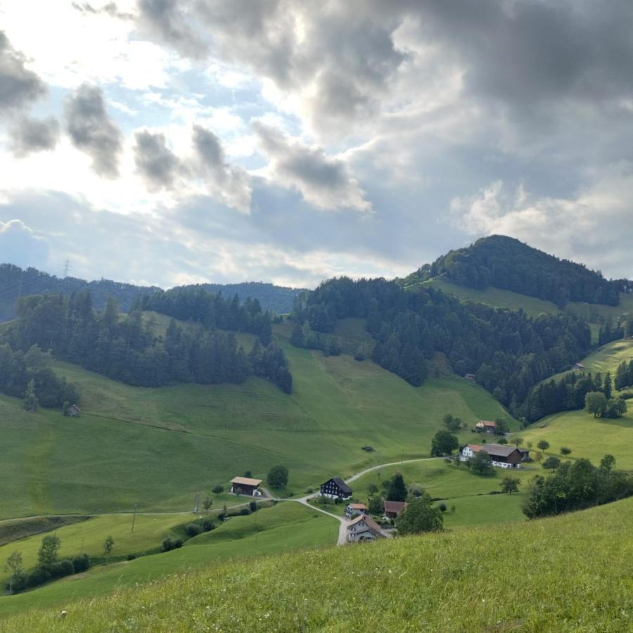 Dom Wiejski Artur * Goldingen