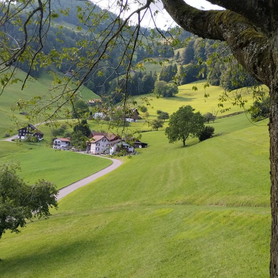 Dom Wiejski Artur Homestay *